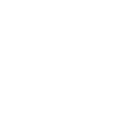 Phoenixi | フェニクシー